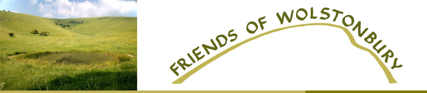 Friends of Wolstonbury logo