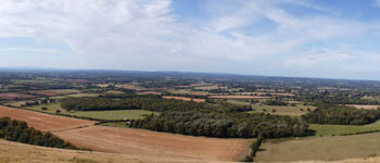 summer qt thumb nail image